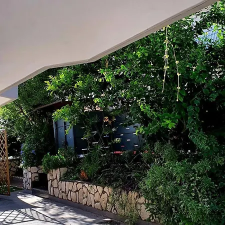 公寓 E S S E N T I A L