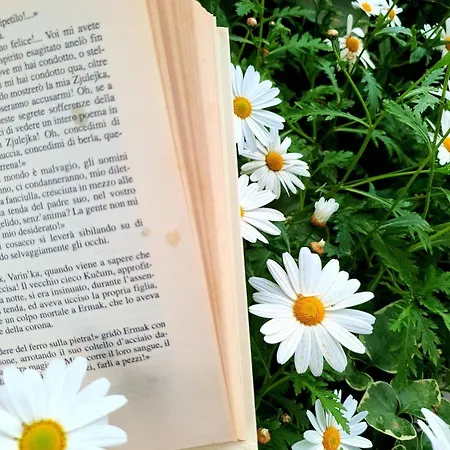 Διαμέρισμα E S S E N T I A L *