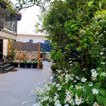 E S S E N T I A L 公寓 *