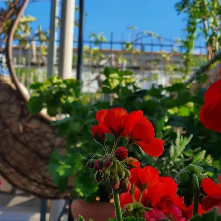 E S S E N T I A L Πομπηία