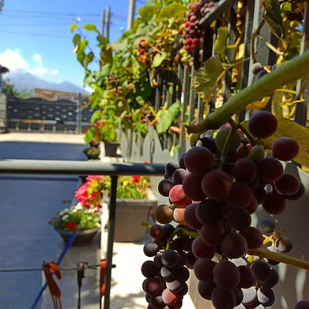 E S S E N T I A L * Πομπηία