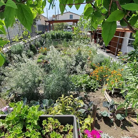 公寓 E S S E N T I A L