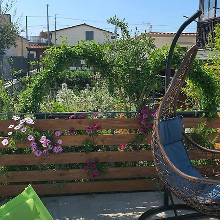 公寓 E S S E N T I A L 庞贝