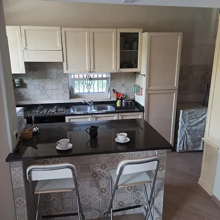 Apartment E S S E N T I A L