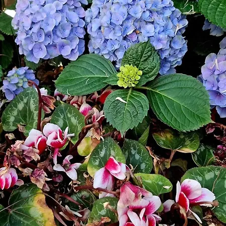 E S S E N T I A L Διαμέρισμα