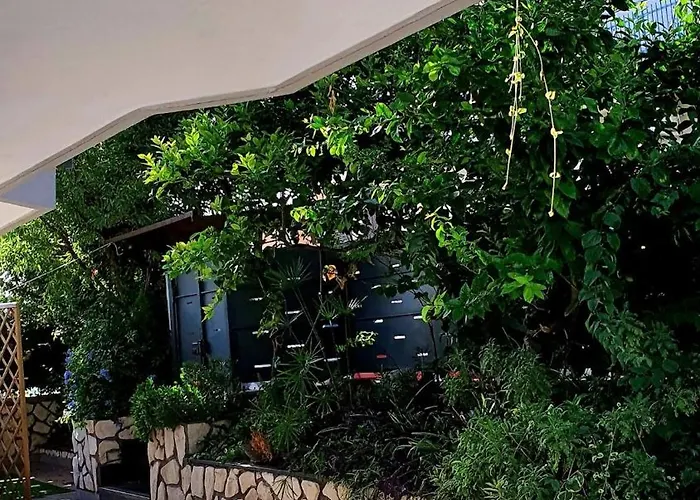 דירה E S S E N T I A L