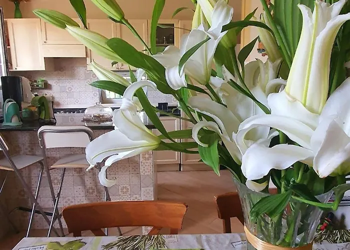 E S S E N T I A L * 庞贝