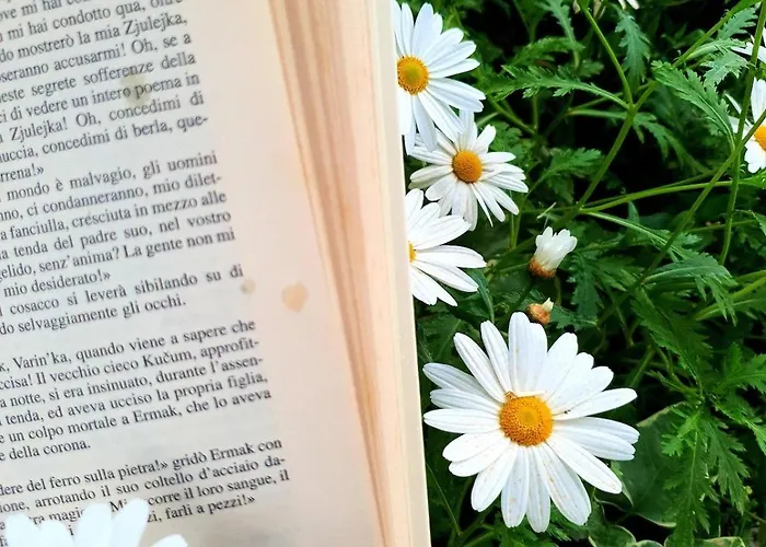 דירה E S S E N T I A L *