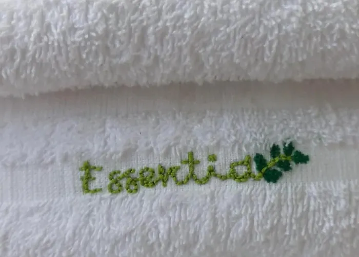 公寓 E S S E N T I A L 庞贝