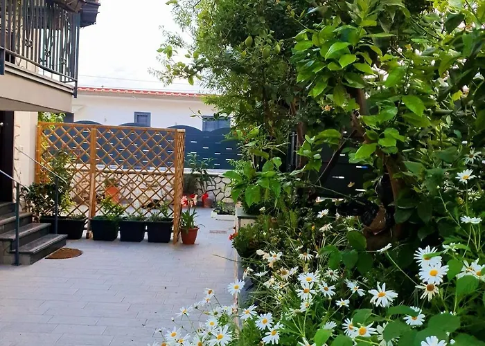 E S S E N T I A L דירה *