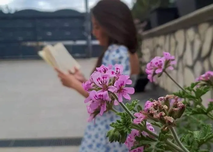 E S S E N T I A L * פומפיי