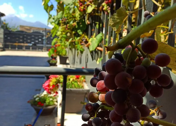 E S S E N T I A L * 庞贝