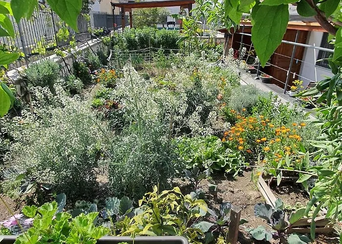 דירה E S S E N T I A L