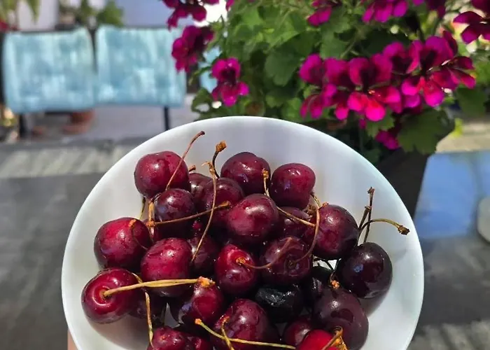 E S S E N T I A L דירה פומפיי