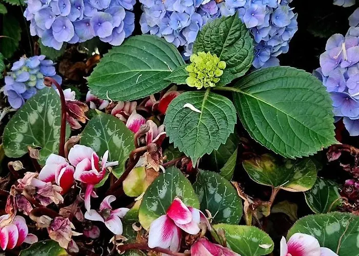 E S S E N T I A L 公寓