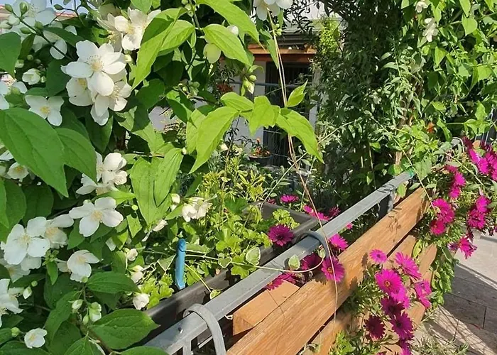 公寓 E S S E N T I A L *